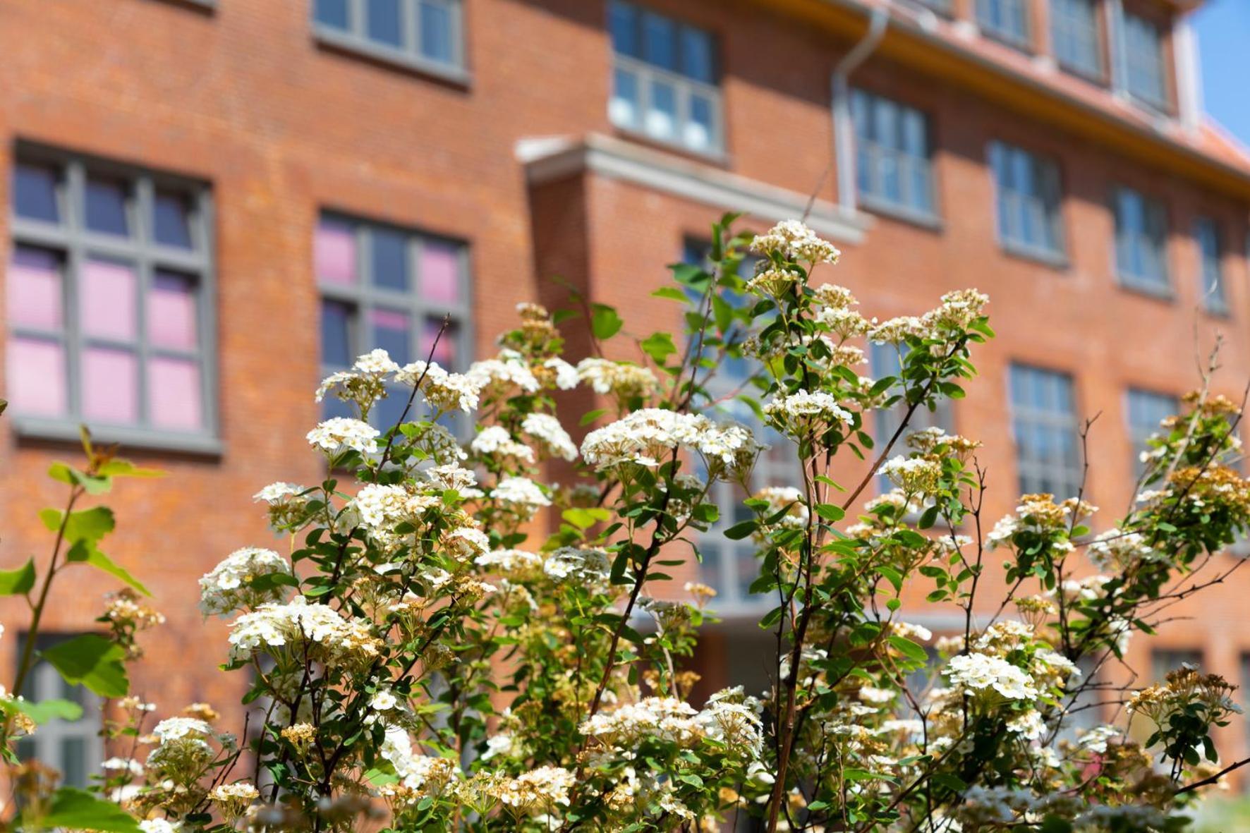 Wohnen Am Suedstrand - Ferienwohnung 1 1 威克奥夫弗尔 外观 照片
